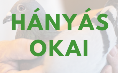 Hányás galamboknál