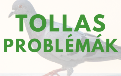 Tollasodási problémák